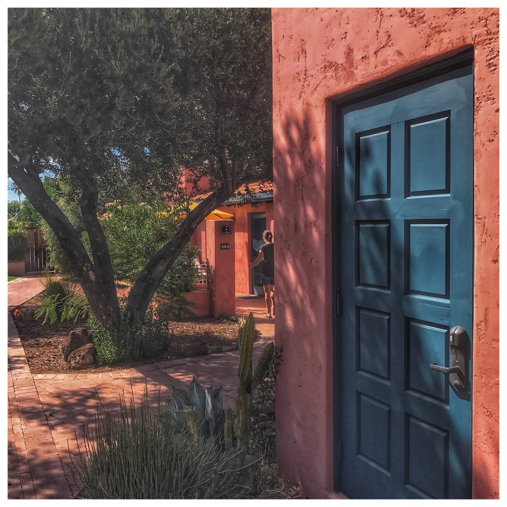 A blue door with a cactus in the background.