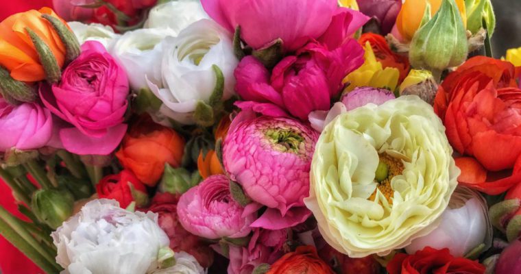 A close up of a bunch of colorful flowers.