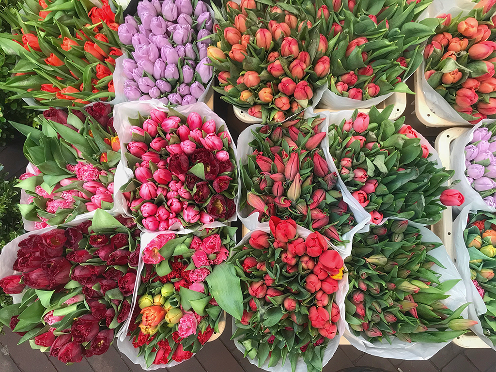 Tulips for sale at a flower market.