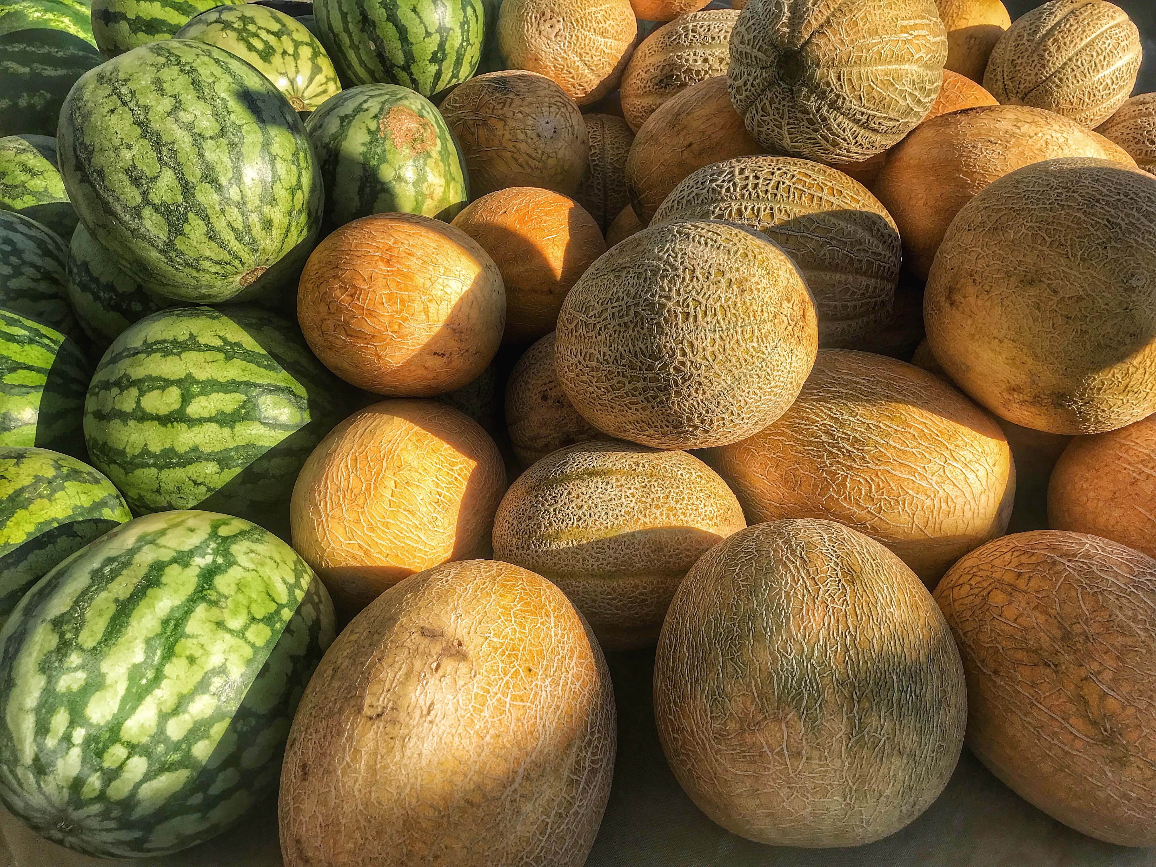 A bunch of melon and watermelon sitting on a table.