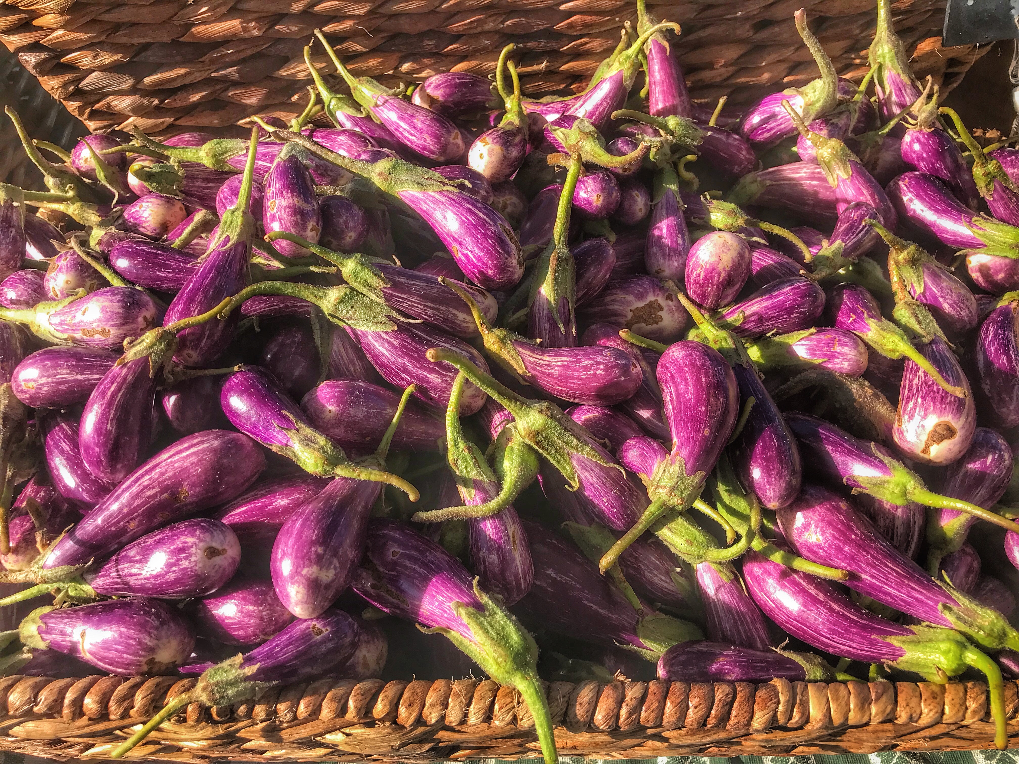 A bunch of purple eggplants in a wicker basket.