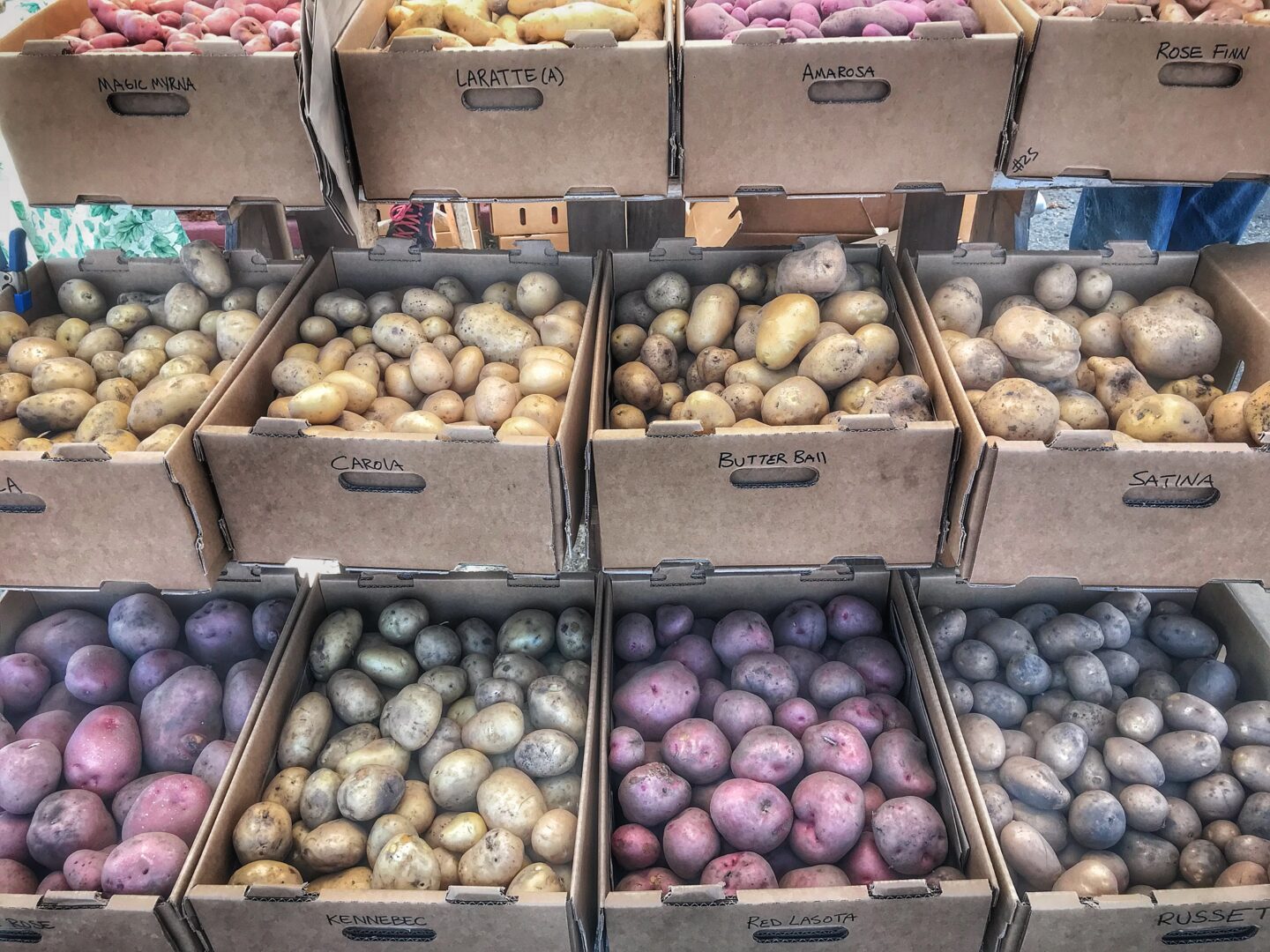 Many boxes of potatoes are on display at a farmer's market.