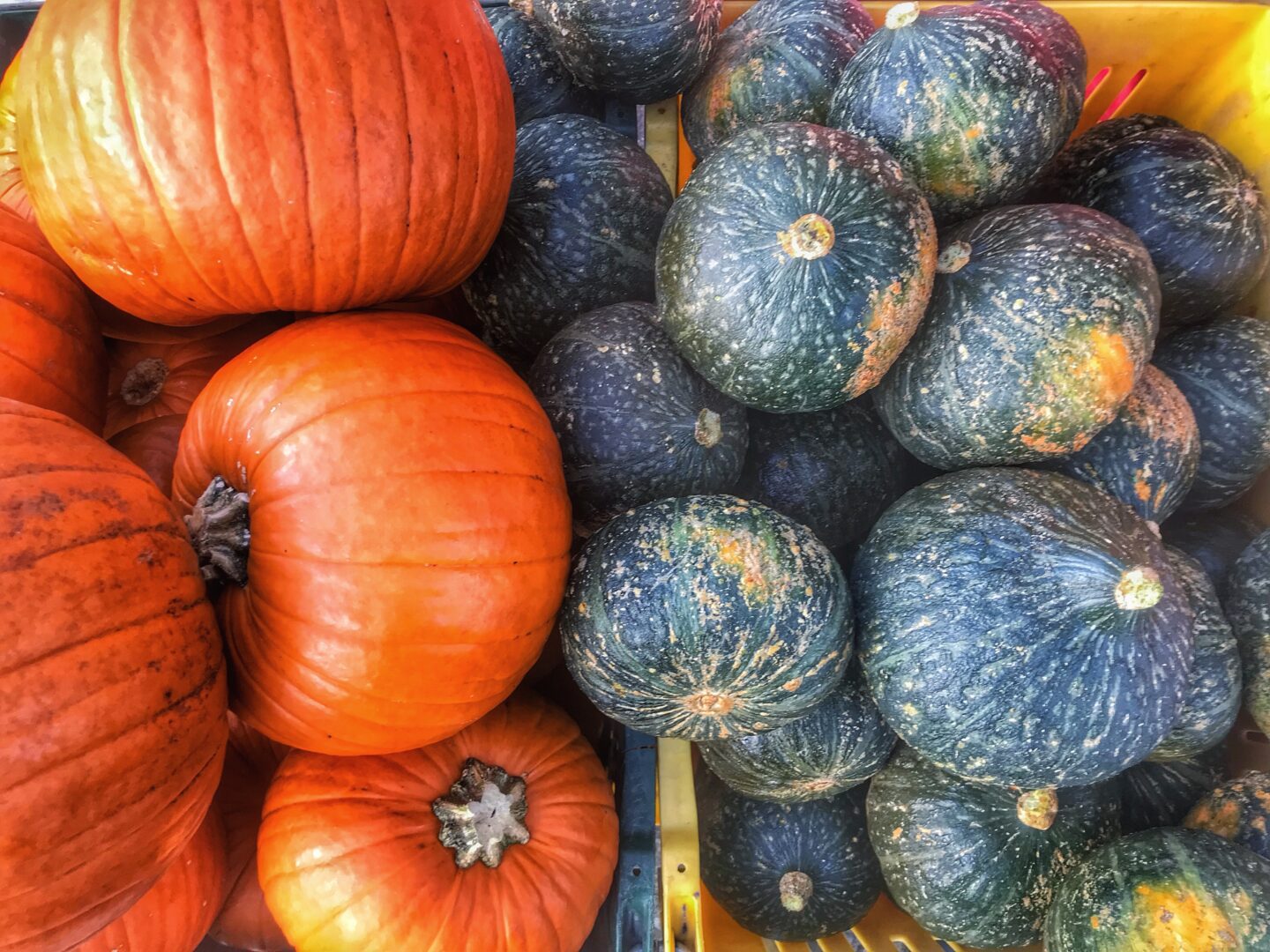 Pumpkins and gourds in a crate at a farmer's market.