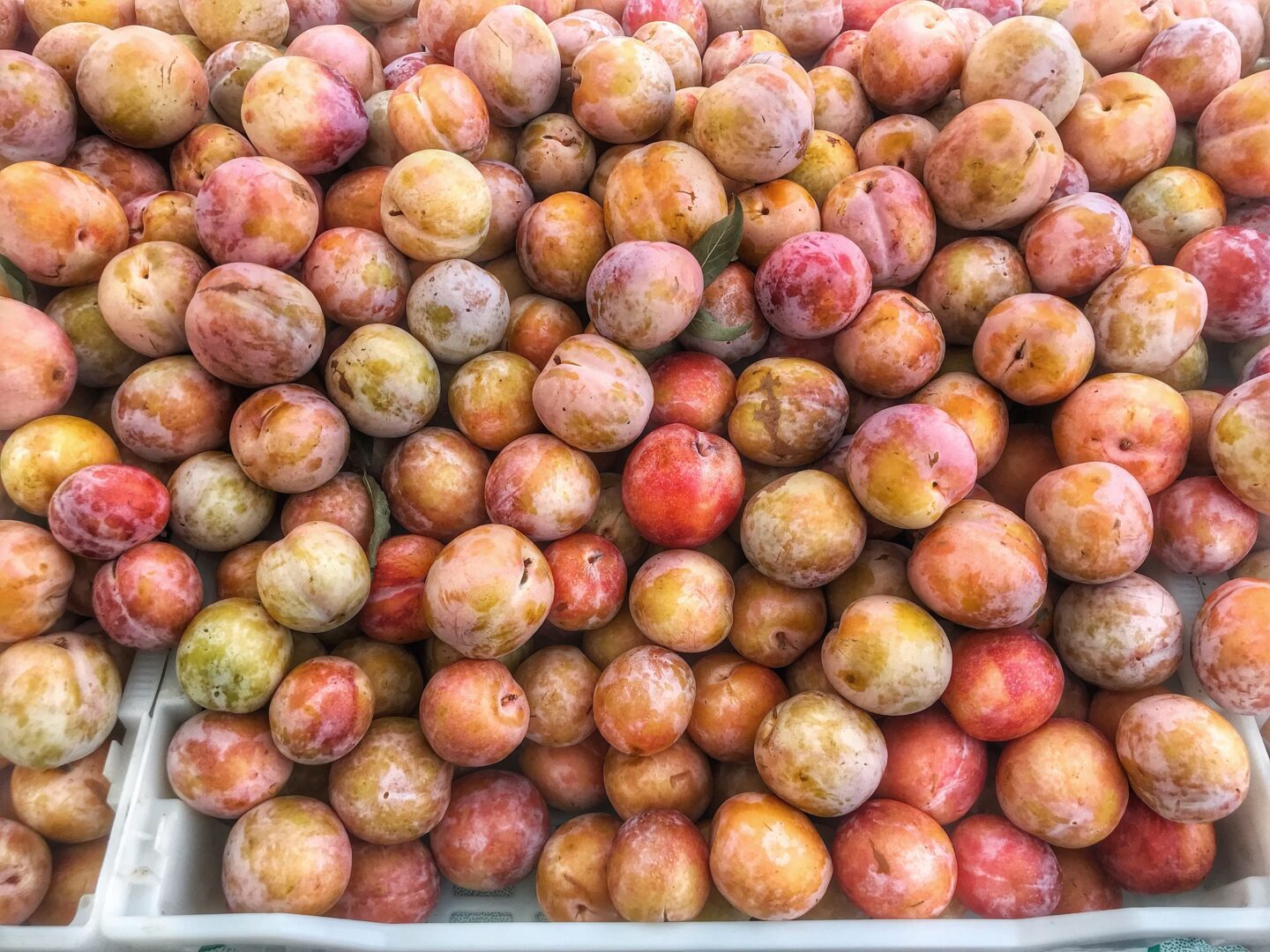 Plums for sale at a market.