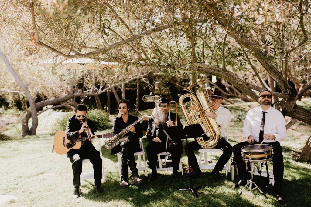 A group of musicians playing instruments under a tree.