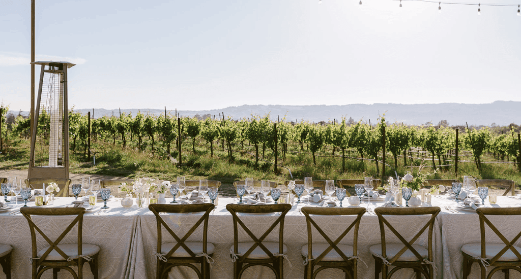 A table set up for a wedding reception in a vineyard.