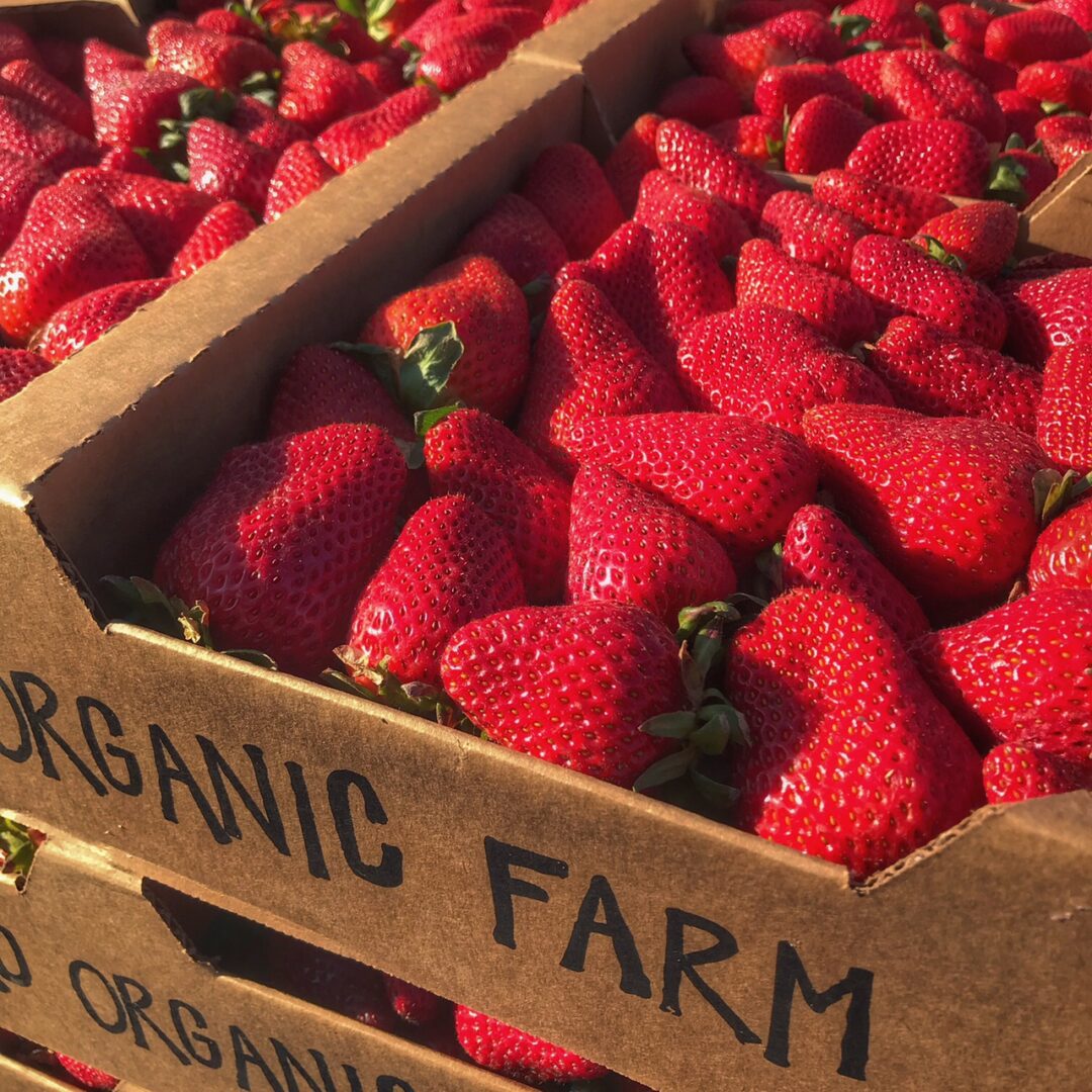 A crate of organic strawberries.